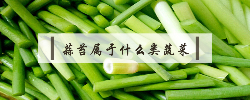 蒜苔属于什么类蔬菜