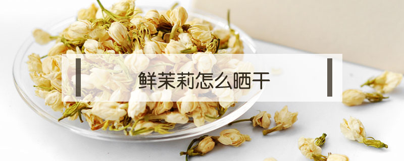 鲜茉莉怎么晒干