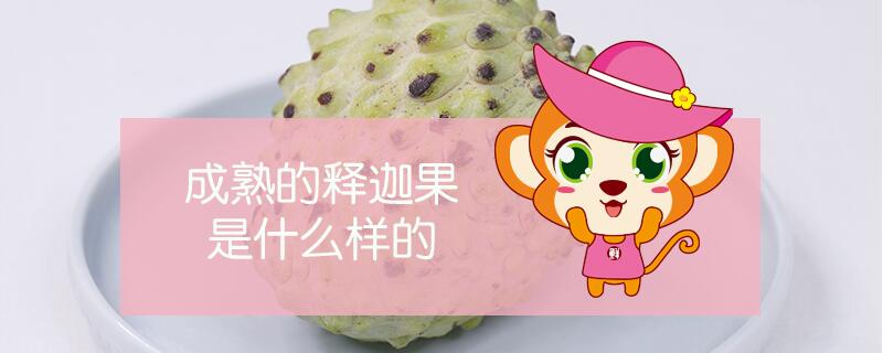 成熟的释迦果是什么样的