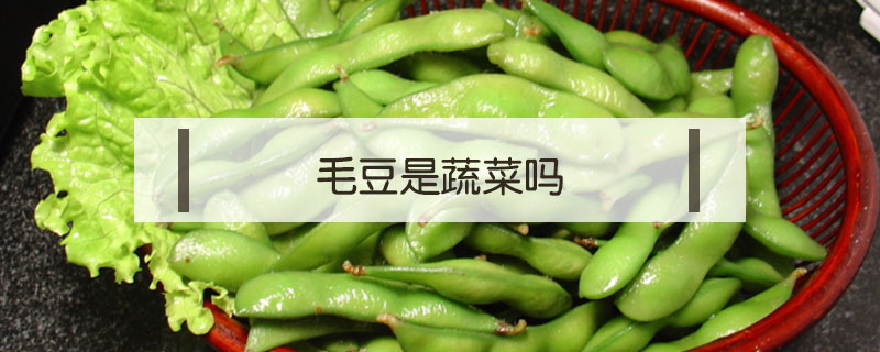 毛豆是蔬菜吗