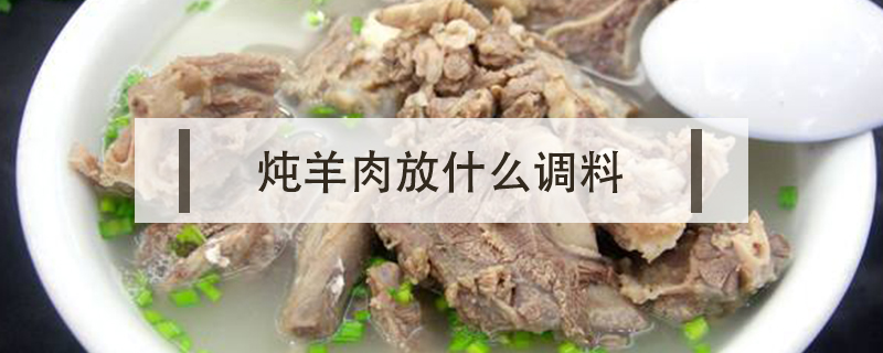 炖羊肉放什么调料