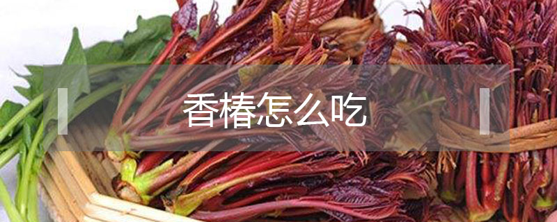 香椿怎么吃