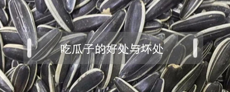 吃瓜子的好处与坏处