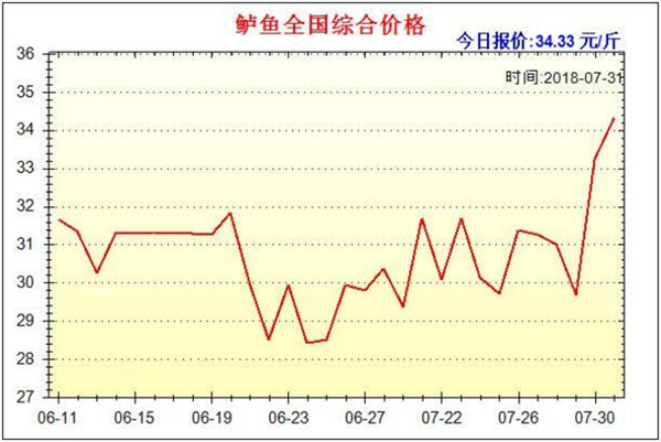 鲈鱼多少钱一斤，2019年鲈鱼价格预估