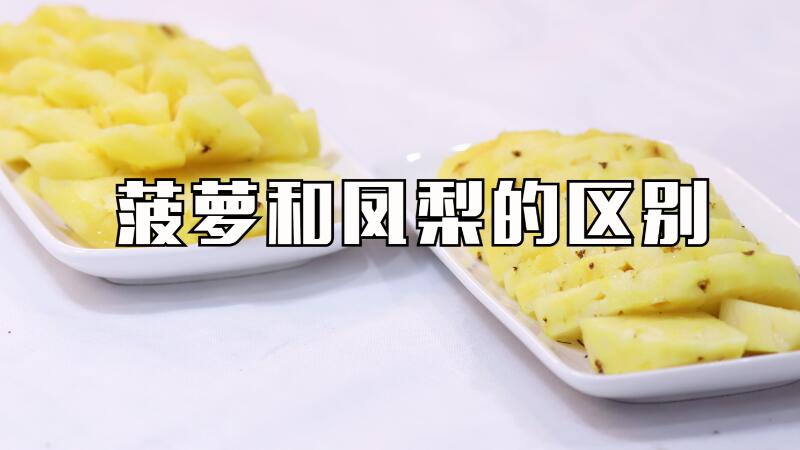 菠萝和凤梨的区别