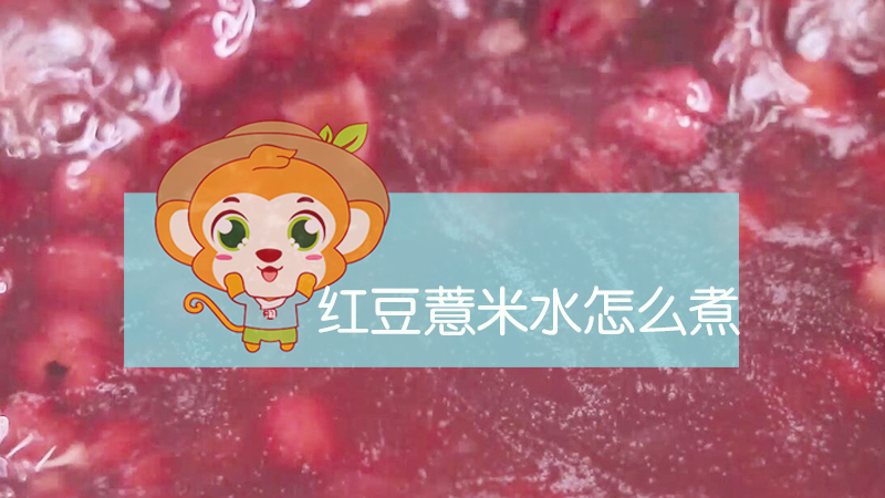 红豆薏米水怎么煮