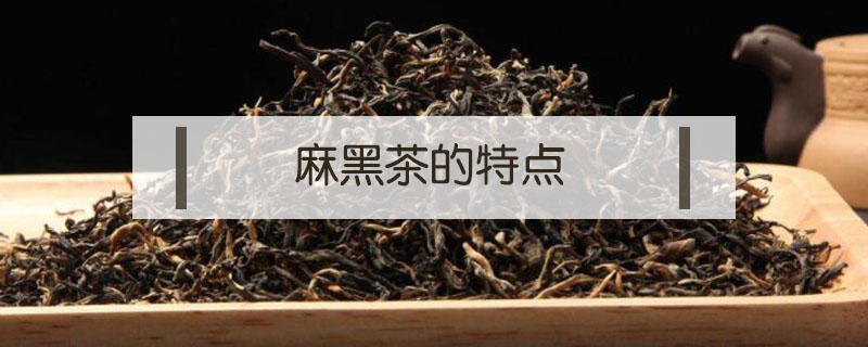 麻黑茶的特点