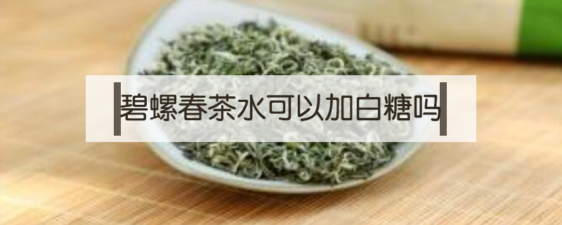 碧螺春茶水可以加白糖吗