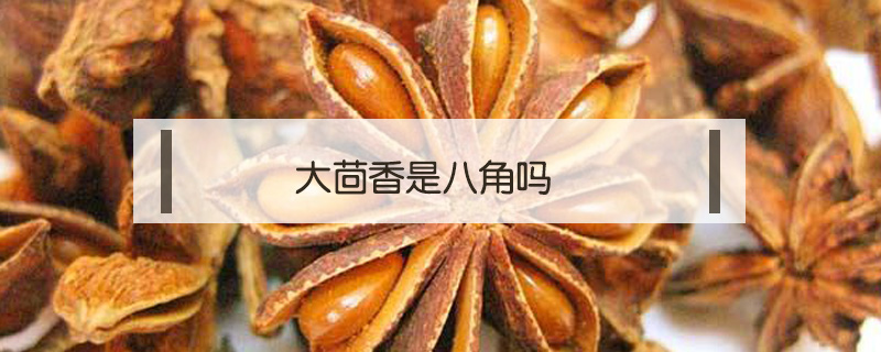 大茴香是八角吗