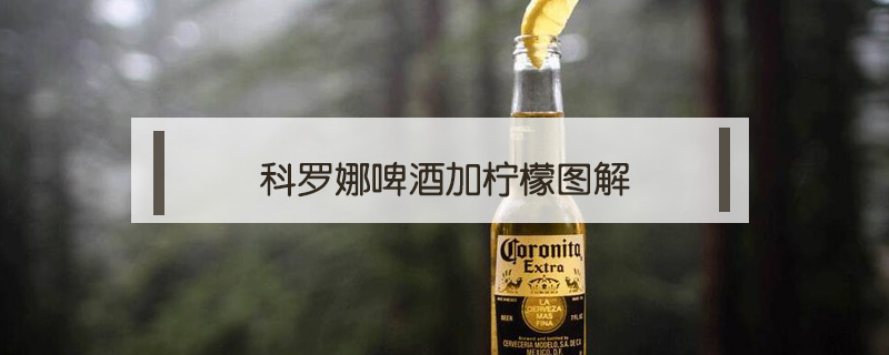 科罗娜啤酒加柠檬图解