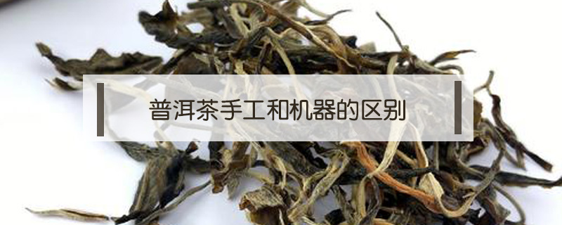 普洱茶手工和机器的区别