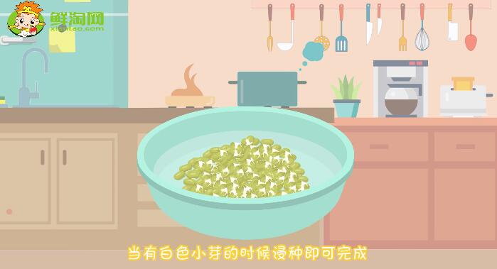 绿豆芽怎么发又粗又快