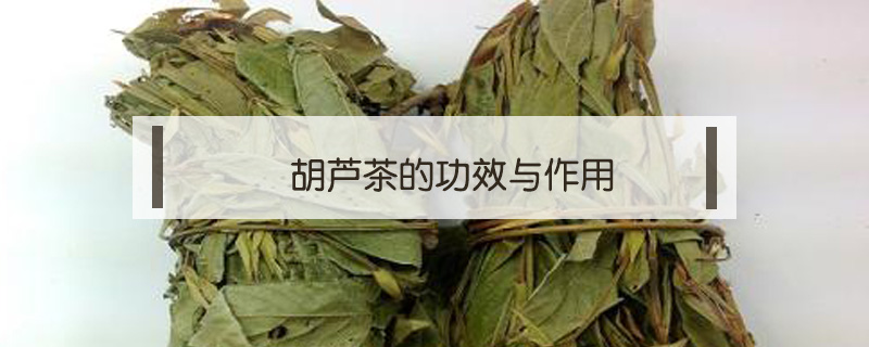 胡芦茶的功效与作用