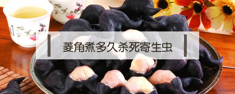 菱角煮多久杀死寄生虫