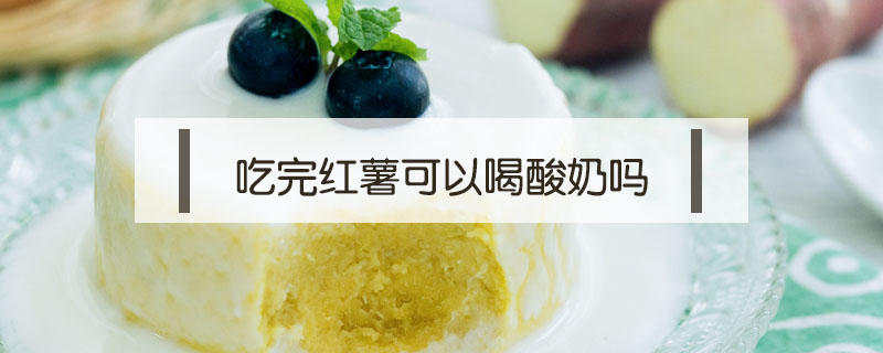 吃完红薯可以喝酸奶吗