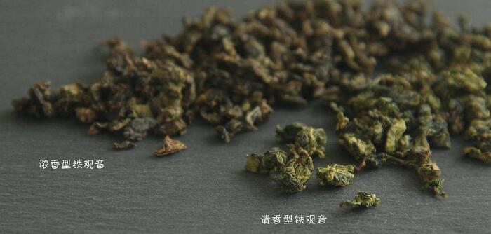 铁观音是红茶还是绿茶