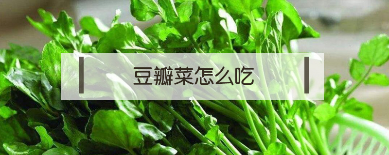 豆瓣菜怎么吃