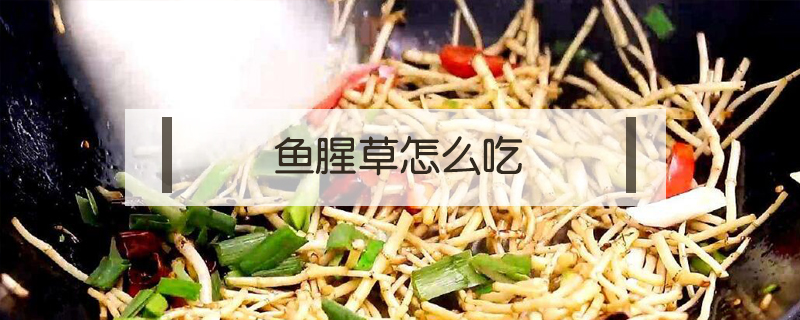 鱼腥草怎么吃