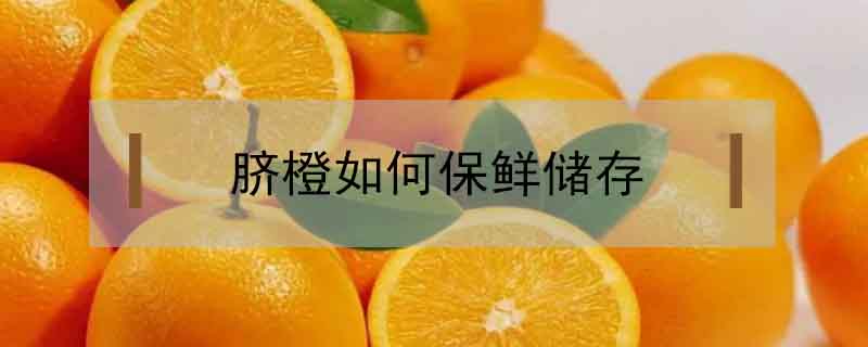 脐橙如何保鲜储存