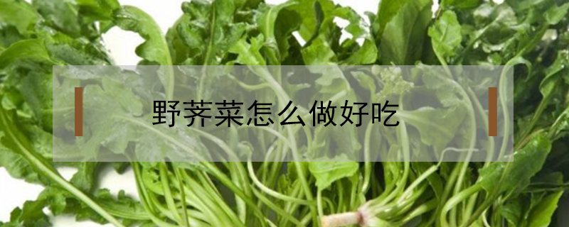 野荠菜怎么做好吃