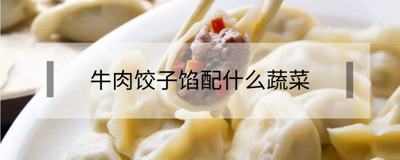 牛肉饺子馅配什么蔬菜