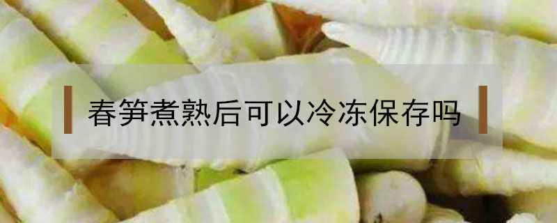 春笋煮熟后可以冷冻保存吗