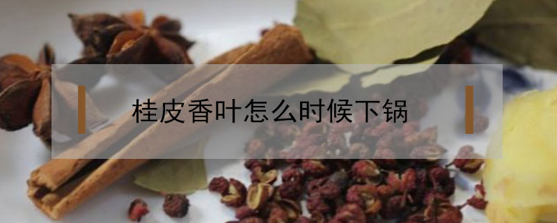 桂皮香叶怎么时候下锅