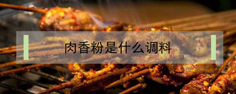 肉香粉是什么调料