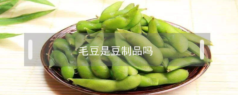 毛豆是豆制品吗