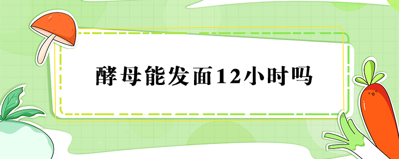 酵母发面12小时可以吗