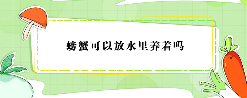 螃蟹可以放水里养着吗